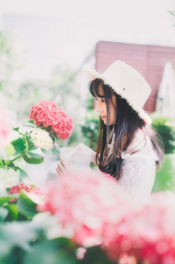 花圃日记