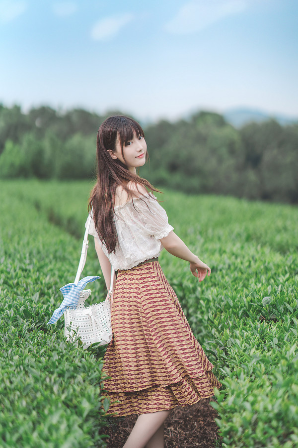 记忆里的夏天