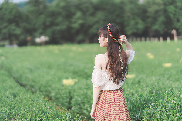 记忆里的夏天