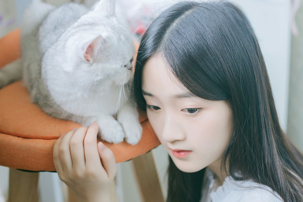 少女和猫